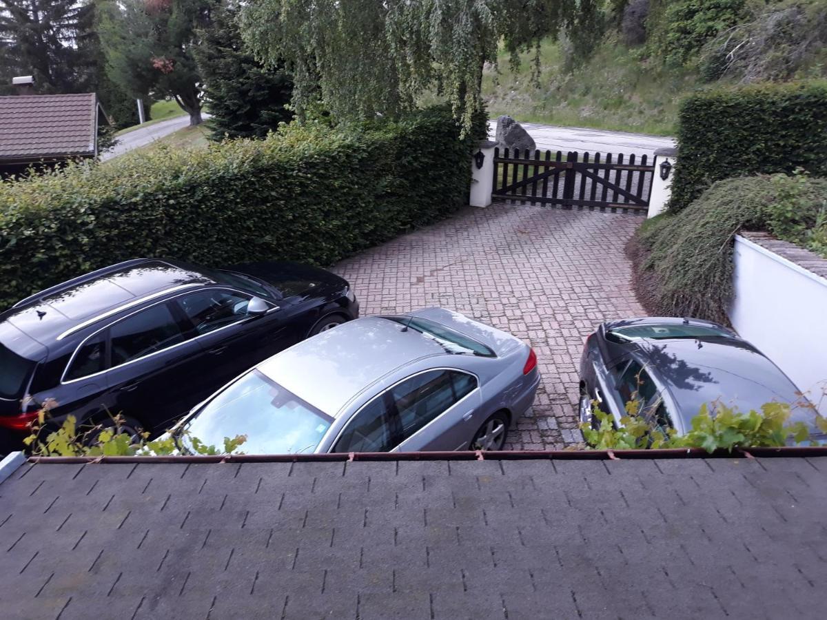 Chalet Les Chardons Gérardmer Dış mekan fotoğraf