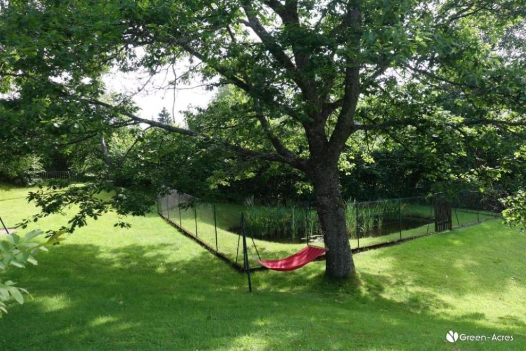 Chalet Les Chardons Gérardmer Dış mekan fotoğraf